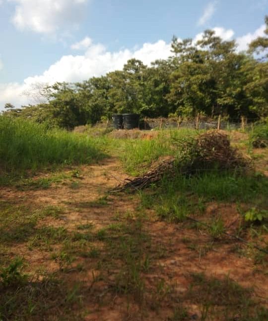 9945755d-895d-4144-8e1f-db3b91d4eb9c