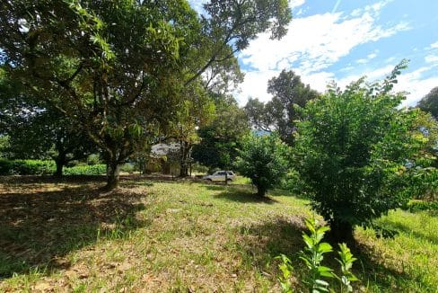 Dusun Sungai Lui Hulu Langat