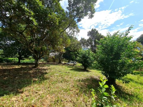 Lui Hulu Langat