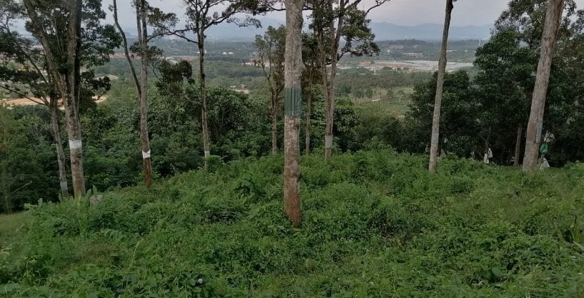 Dusun Durian Seremban