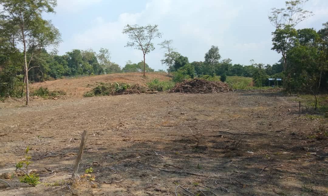 da421a01-0c0e-4806-b71a-5dba5eb6825e