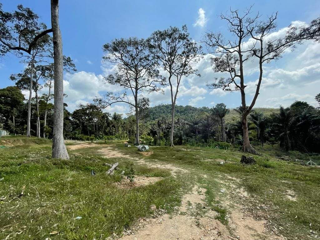 Tanah Kampung Kemuning Tampin