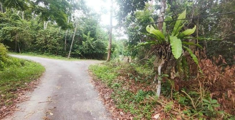 Tanah Kuala Klawang Jelebu