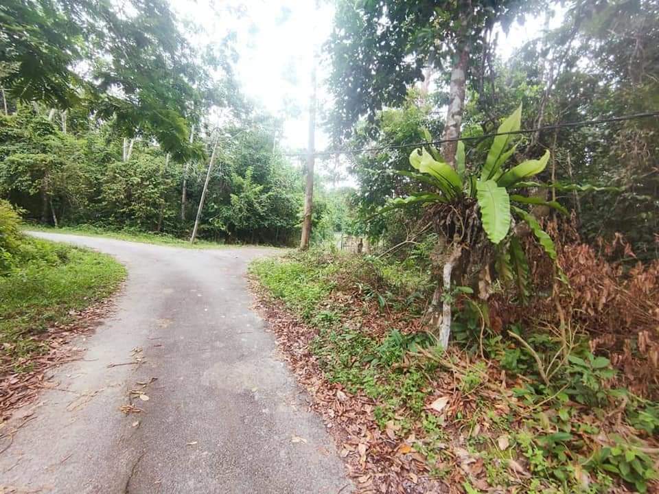 Tanah Kuala Klawang Jelebu
