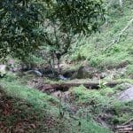 Tanah Batu 17 Hulu Langat