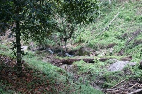 Tanah Batu 17 Hulu Langat