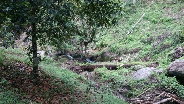 Tanah Batu 17 Langat