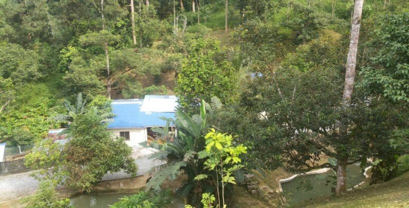 Tanah Dusun Sungai Congkak Hulu Langat