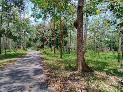 Air Mawang Kuala Pilah