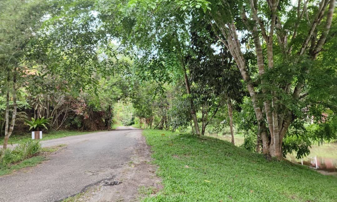 32b97468-846b-44b1-b54d-fa2136b1396d