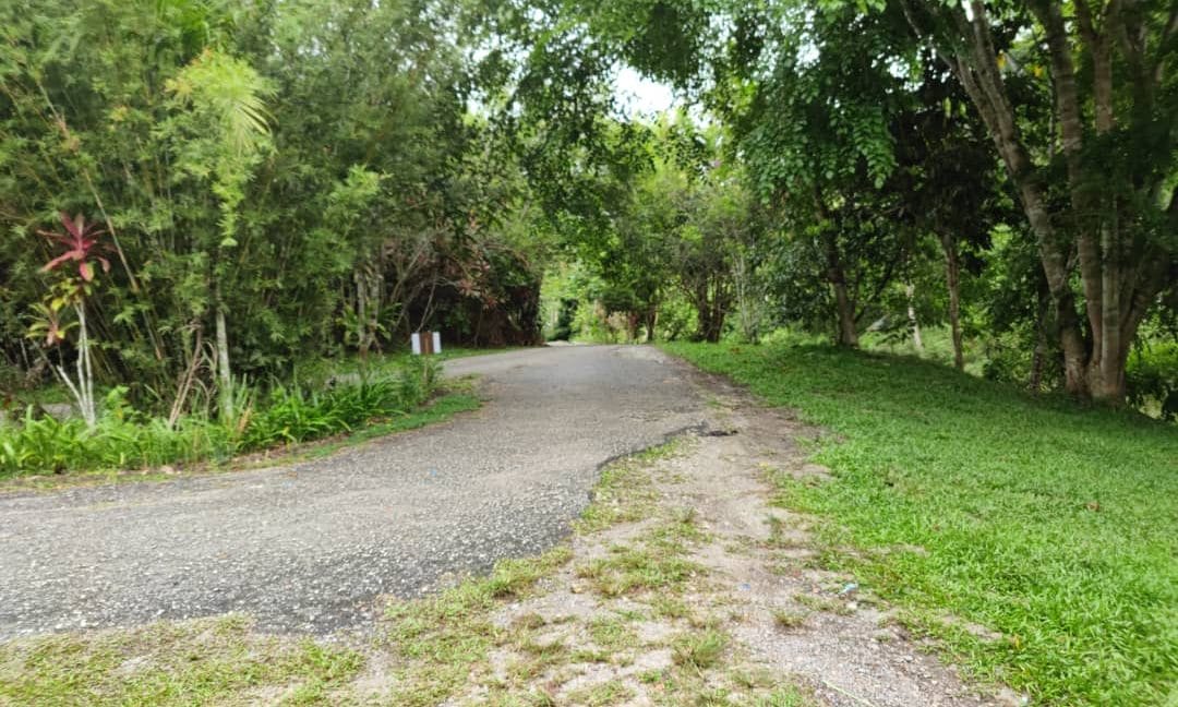 9369d69f-69af-421b-aac2-ce9521ab33b6