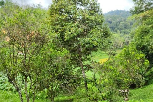 Resort Janda Baik Bentong