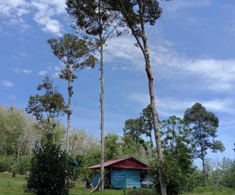 62fc980a-1538-4976-9884-18a1dcb4329c