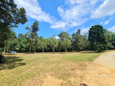 Tanah Kampung Paya Dalam