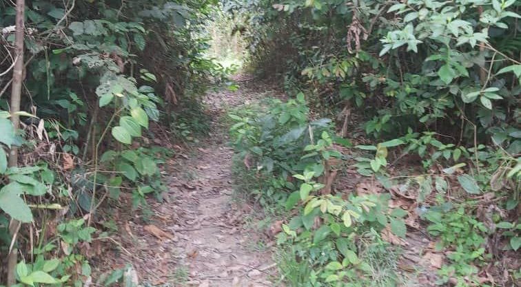 Tanah Kampung Gemetir Terachi Kuala Pilah