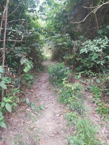 Gemetir Terachi Kuala Pilah