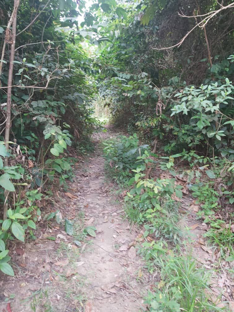 Tanah Kampung Gemetir Terachi Kuala Pilah