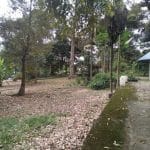 Tanah Sungai Machang Kecil Lenggeng