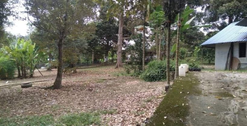 Tanah Sungai Machang Kecil Lenggeng