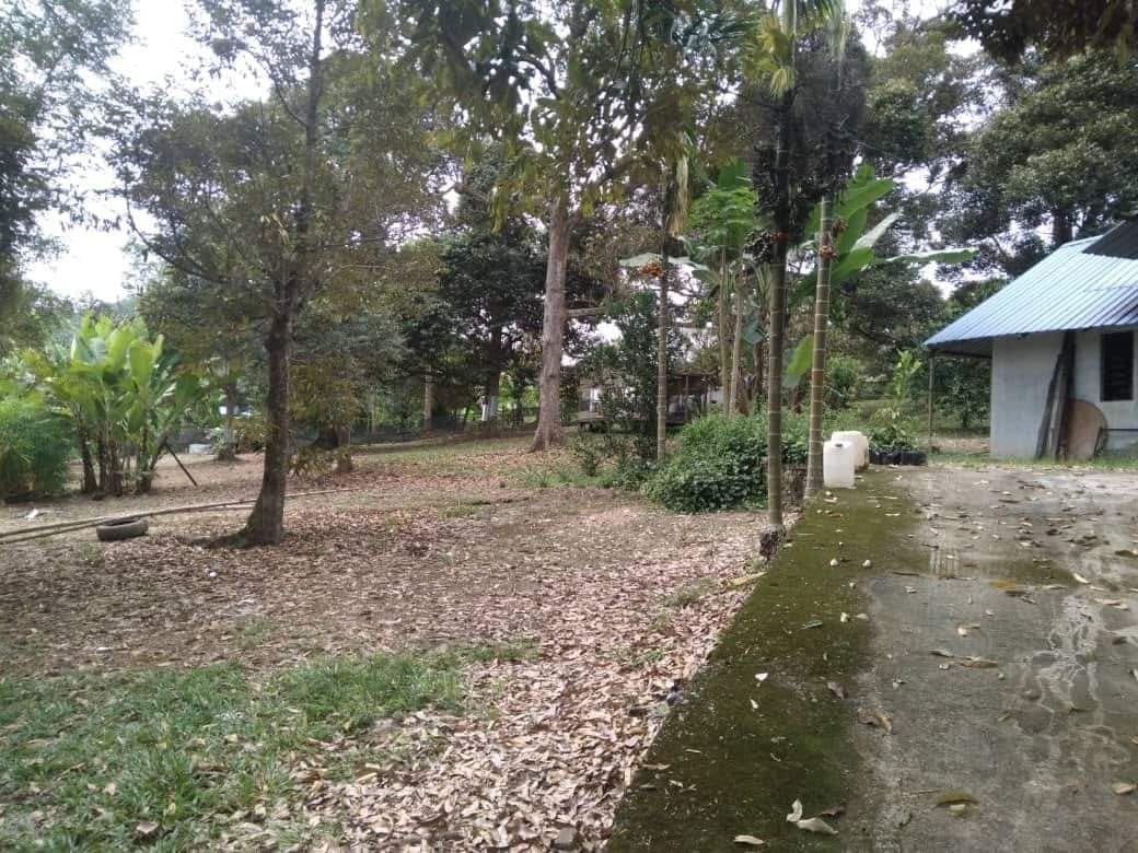 Tanah Sungai Machang Kecil Lenggeng