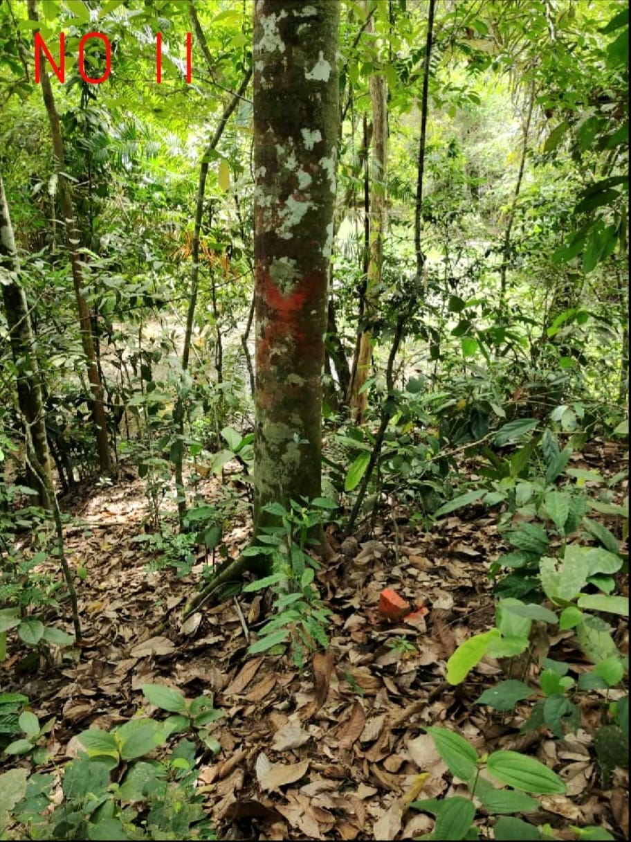Tanah daerah Seri Menanti