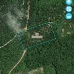 Kebun sawit Kuala Pilah