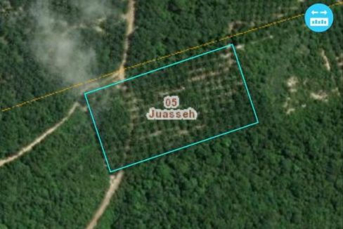 Kebun sawit Kuala Pilah