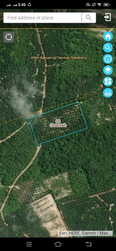 Kebun sawit Kuala Pilah