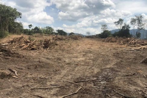 Tanah Batu 16 Dusun Tua