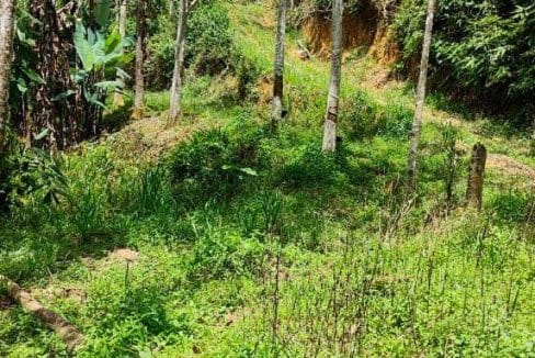 Tanah Parit Tinggi Kuala Pilah