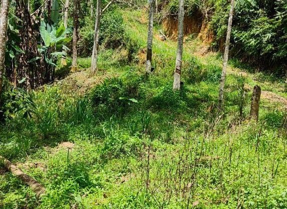 Tanah Parit Tinggi Kuala Pilah