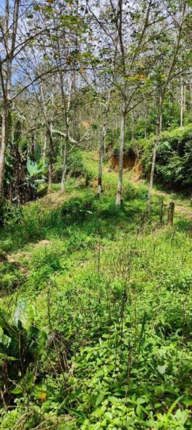 Parit Tinggi Kuala Pilah