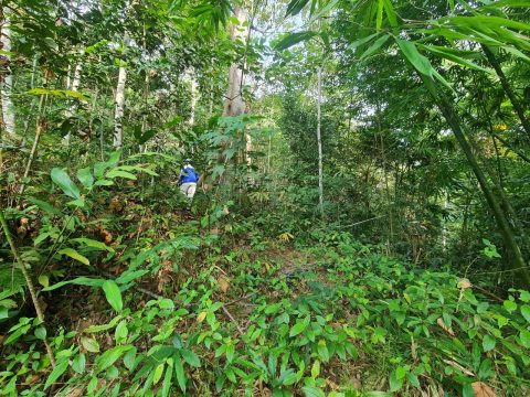 Dusun Pangsun Hulu Langat