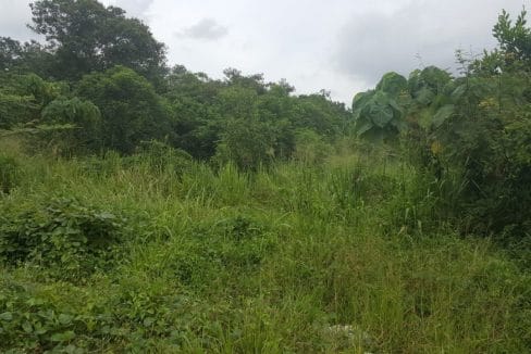 Tanah Bandar Baru Nilai