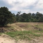 Tanah Sungai Lui Hulu Langat