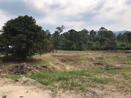 Tanah Lui Hulu Langat