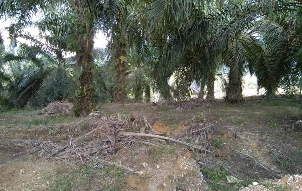 301ff388-45de-4f54-b690-c039bc53a205