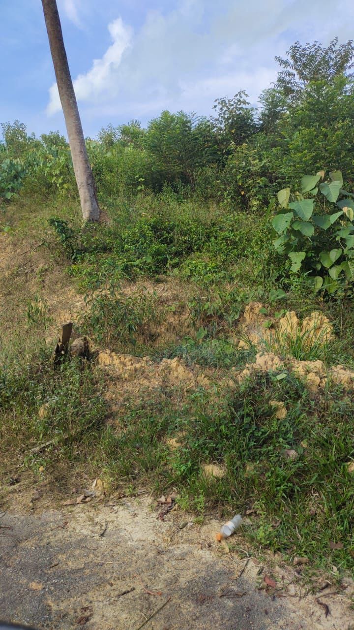 Tanah Malan Kepis Kuala Pilah
