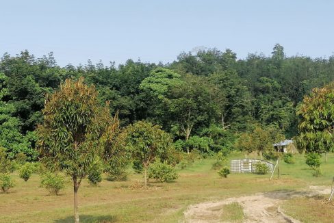 Tanah Kampung Tegor Lenggeng