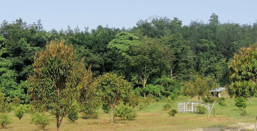 Tanah Kampung Tegor Lenggeng