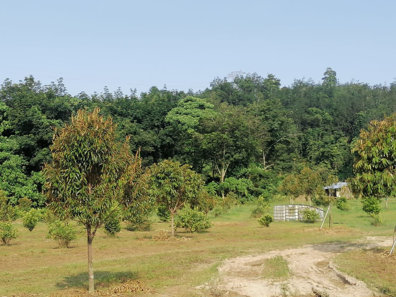 Tanah Kampung Tegor Lenggeng