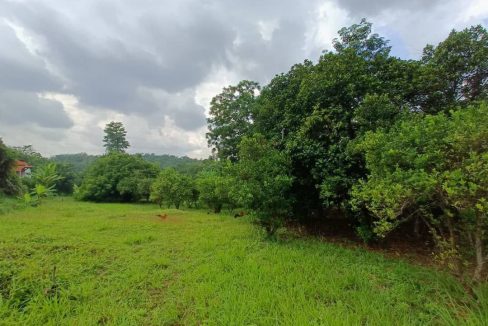 Tanah Salak Tinggi Sepang