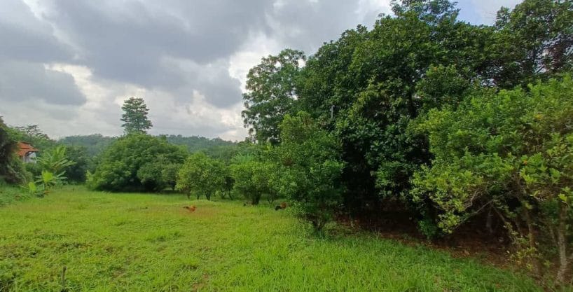 Tanah Salak Tinggi Sepang