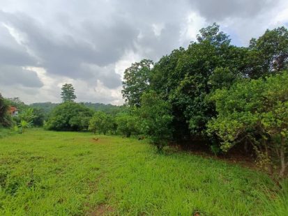 Tanah Salak Tinggi Sepang