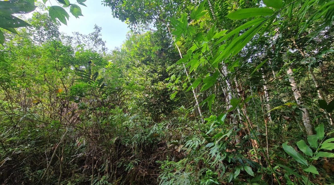 604b2d41-02c3-4d3f-ab76-741f4da3b960