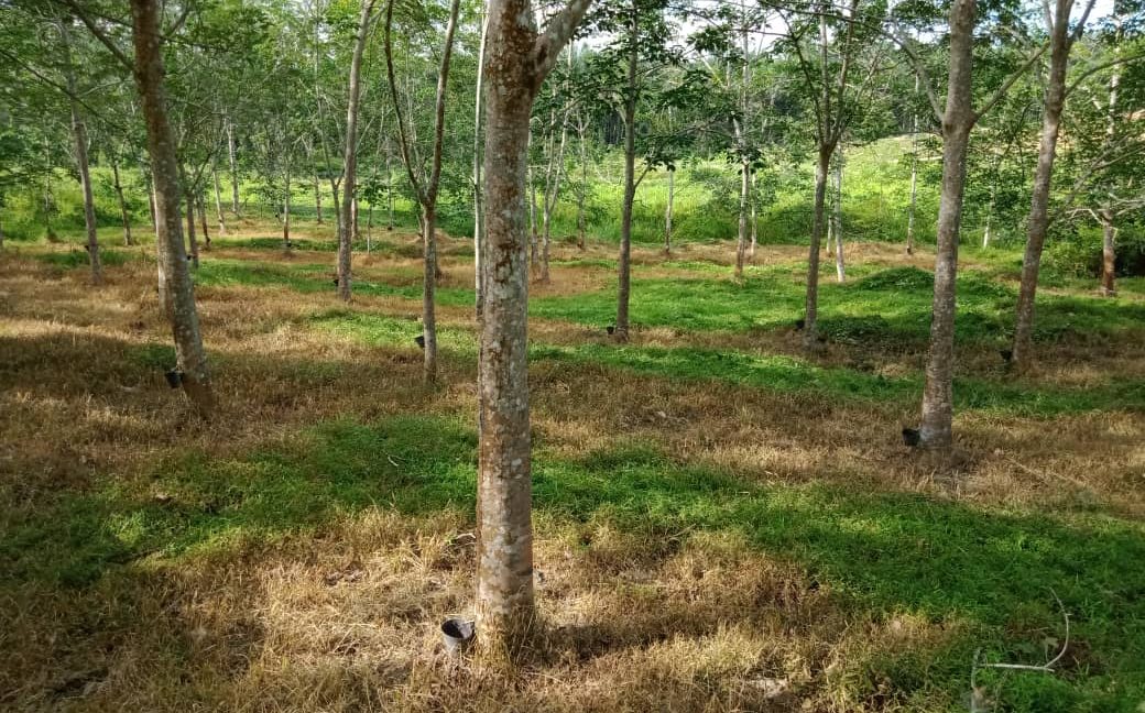 6a1281b4-390e-43b6-ab4b-eeb441bfa90e