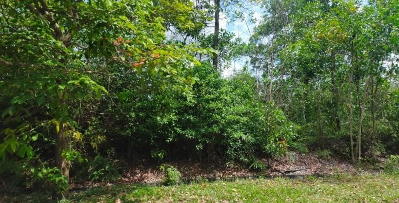 Bungalow lot Nilai Spring Villas