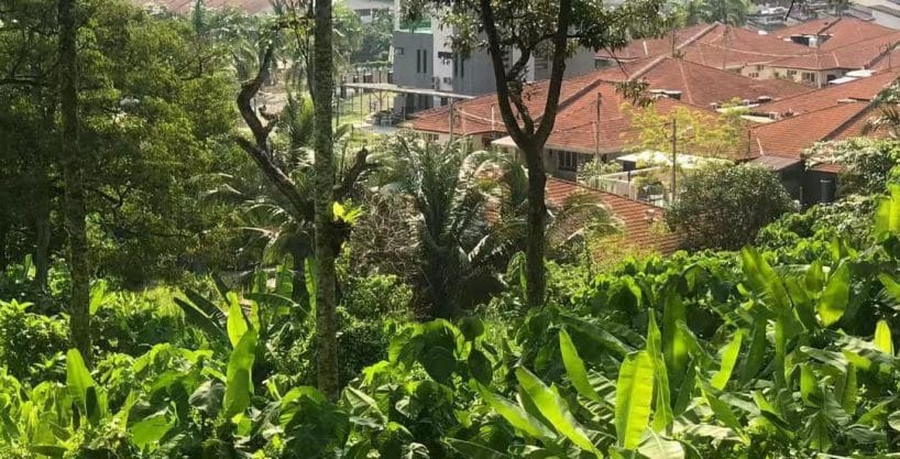 Tanah kebun mantin Seremban