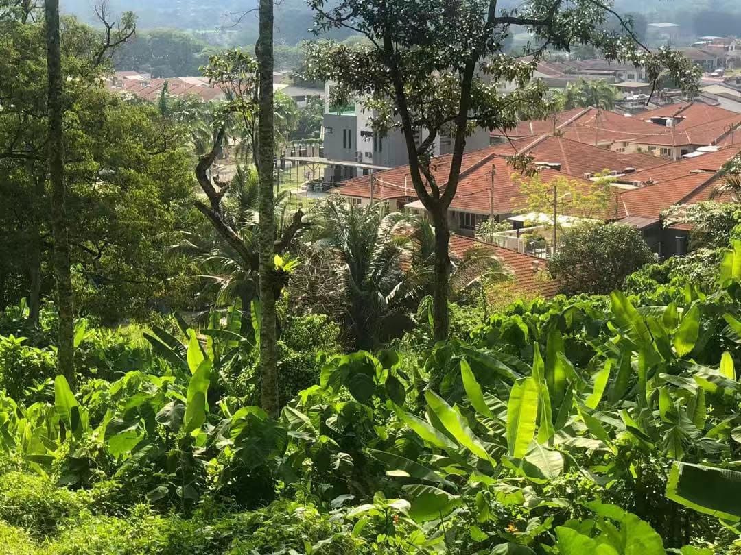 Tanah kebun mantin Seremban