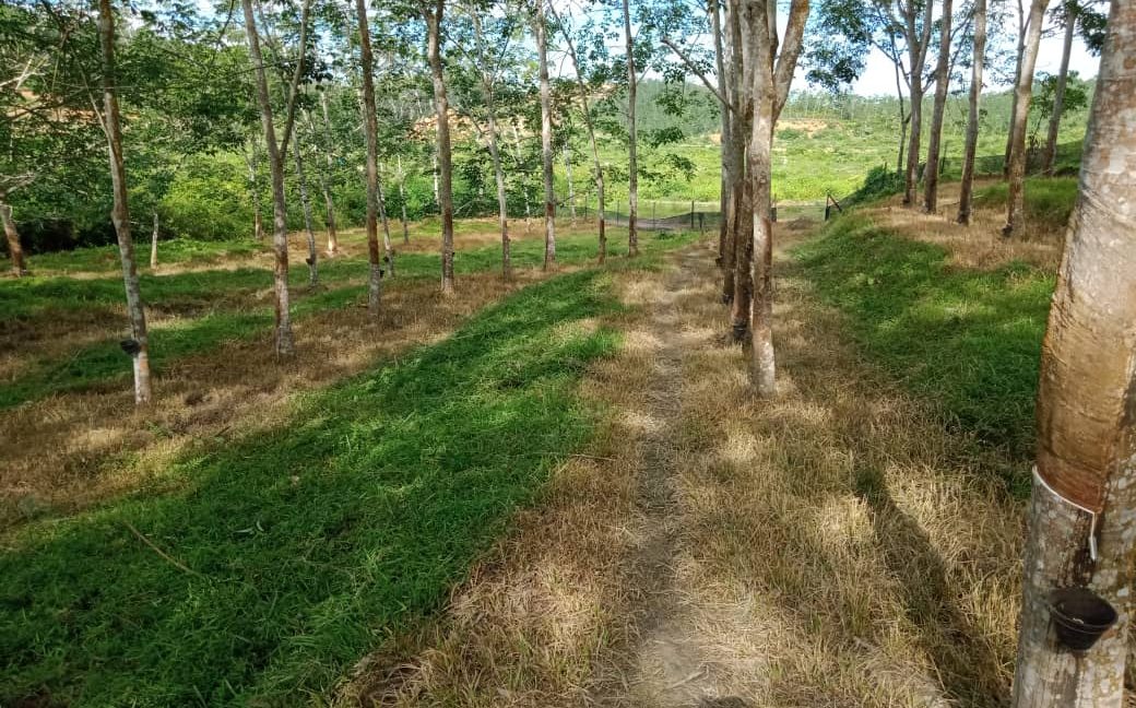 85934129-e27a-4ec6-aa85-5ae9cdfe8d3c